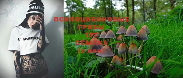 мяу мяу кристалл Алексин