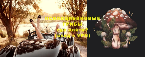 мяу мяу кристалл Алексин