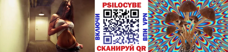 Псилоцибиновые грибы Magic Shrooms  наркота  Апшеронск 